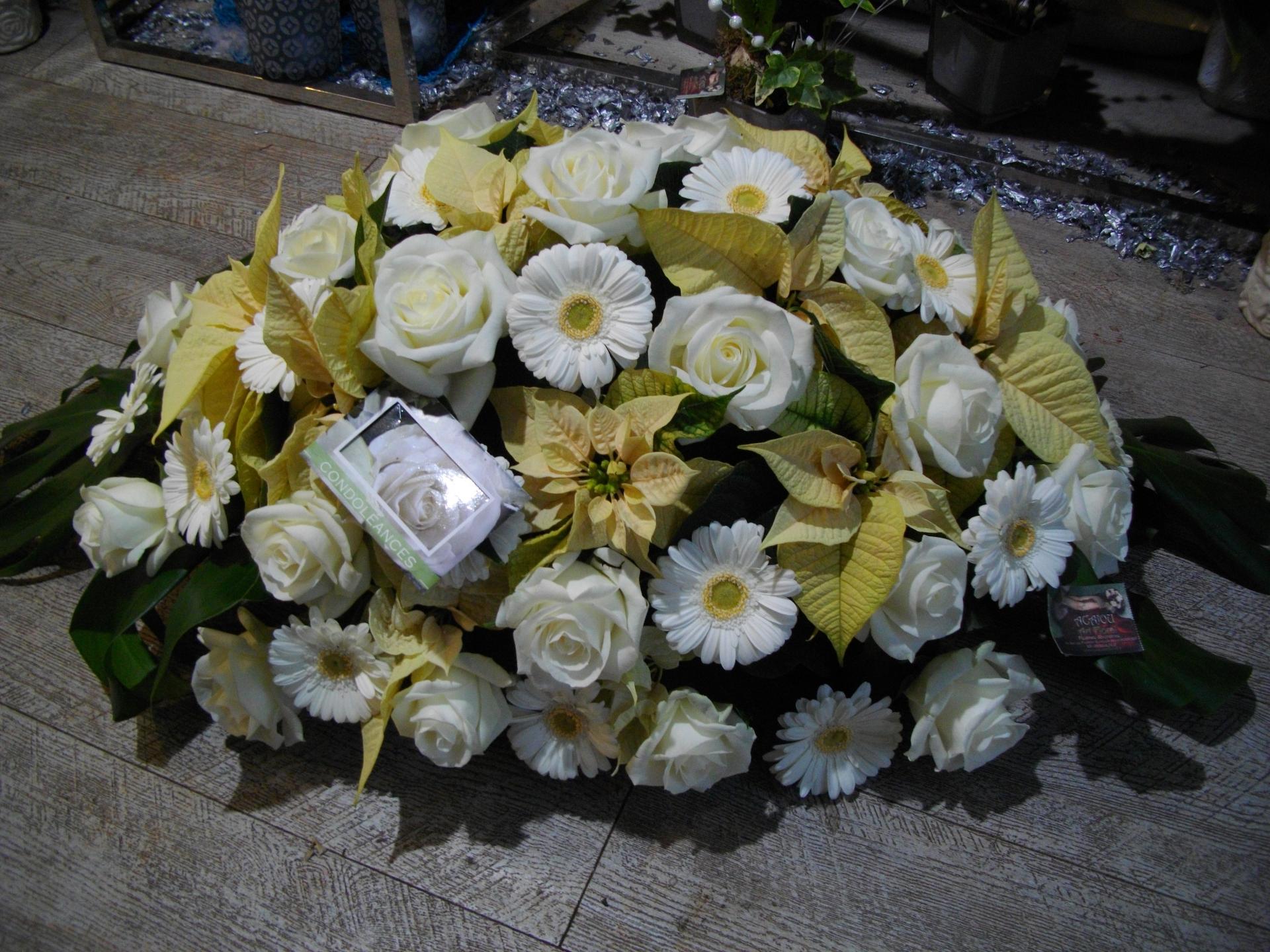 Imgp0434 1